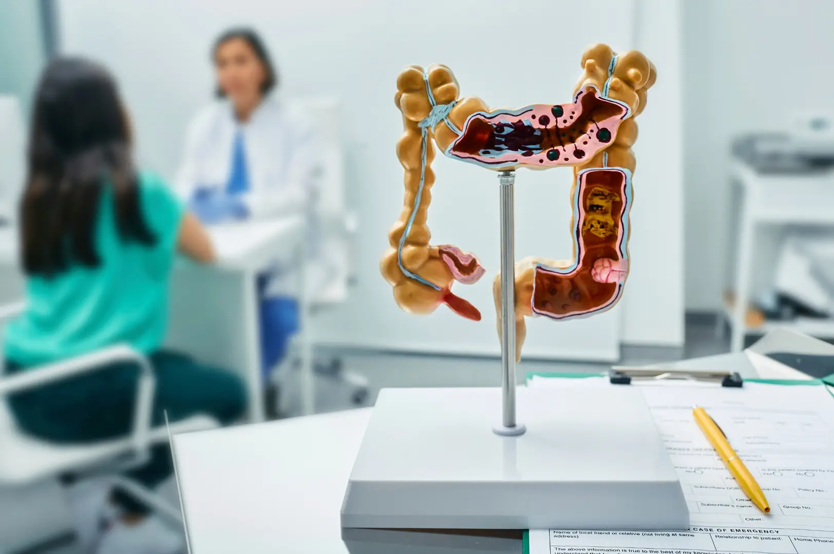 A gastroenterology consultation at Excelsia.