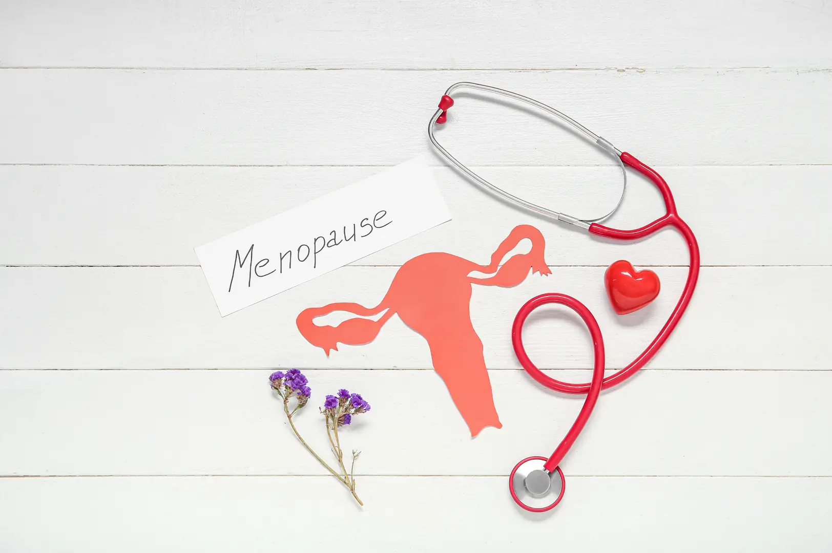 Planning a self-management routine after a menopause consultation.