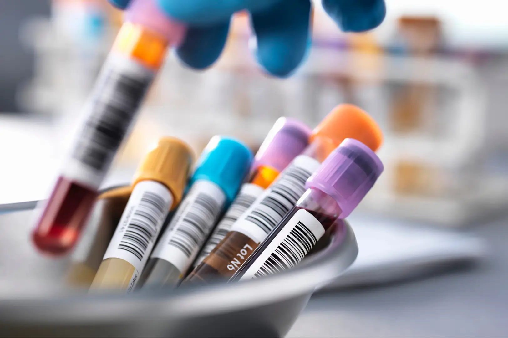 The pathology collection room at Earlwood Medical Centre.