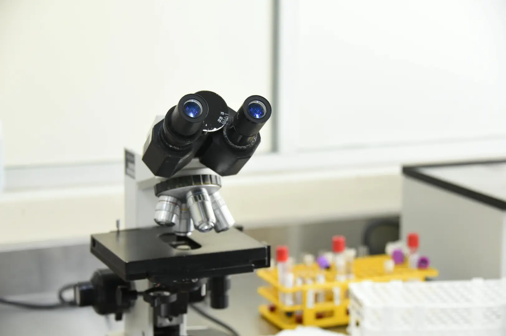 Pathology collection setup at an SMSG centre.
